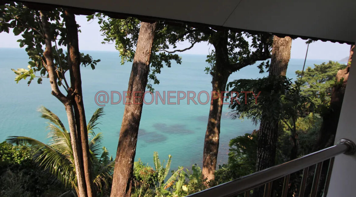 0205q120009pcvdjxAC49_W_1280_853_R5