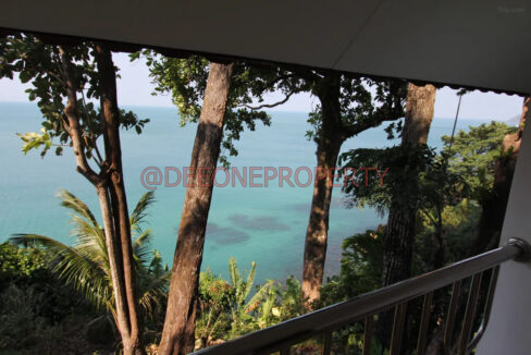 0205q120009pcvdjxAC49_W_1280_853_R5