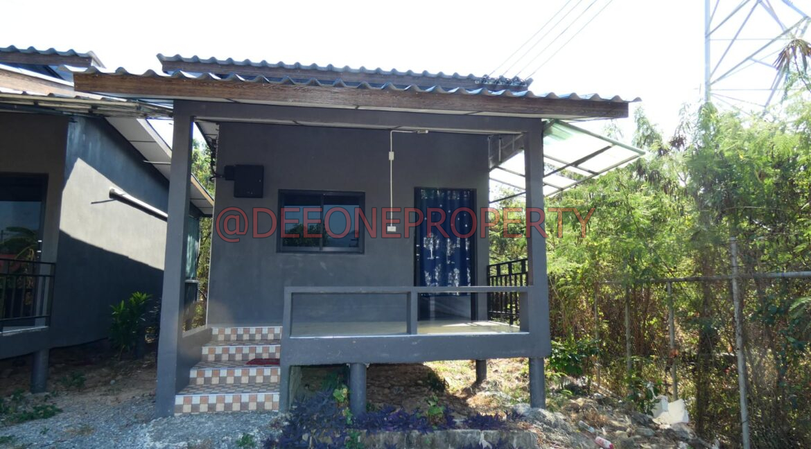 P1020935