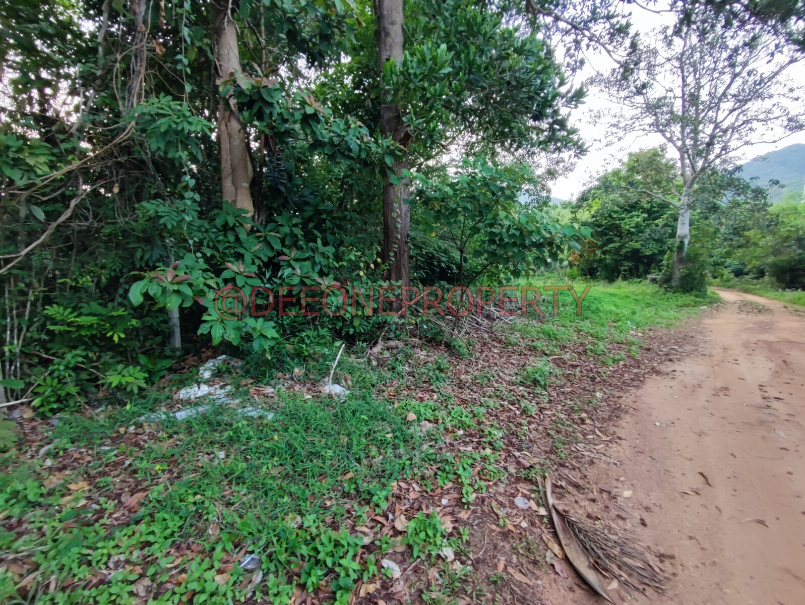 🌴 Land with Great Potential for Sale – South West Coast, Koh Chang