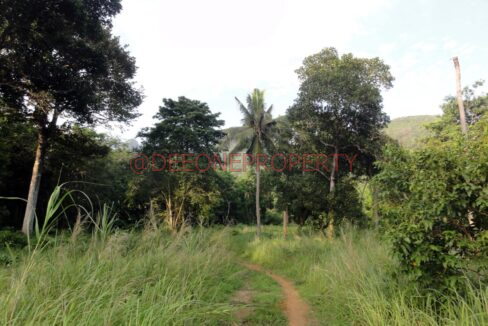 DSC04206