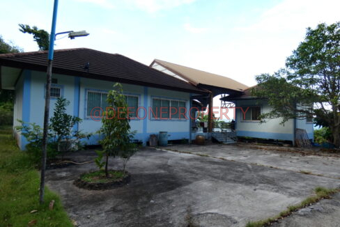 P1020933