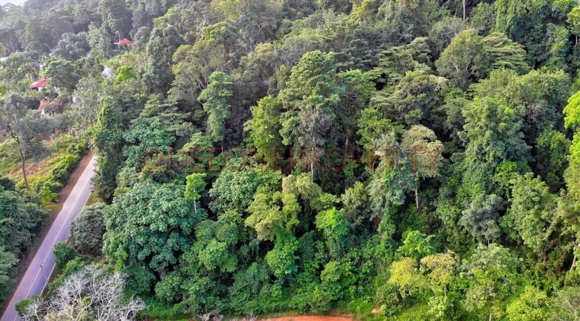 created by dji camera