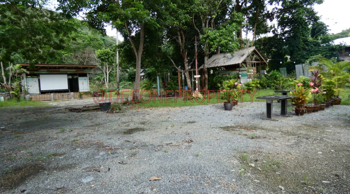 P1030952