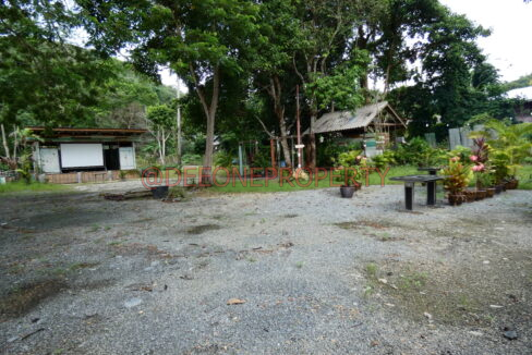 P1030952
