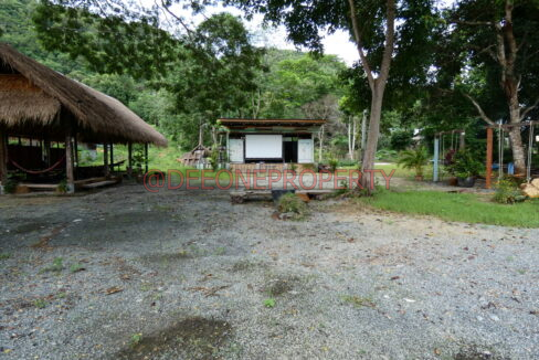 P1030953