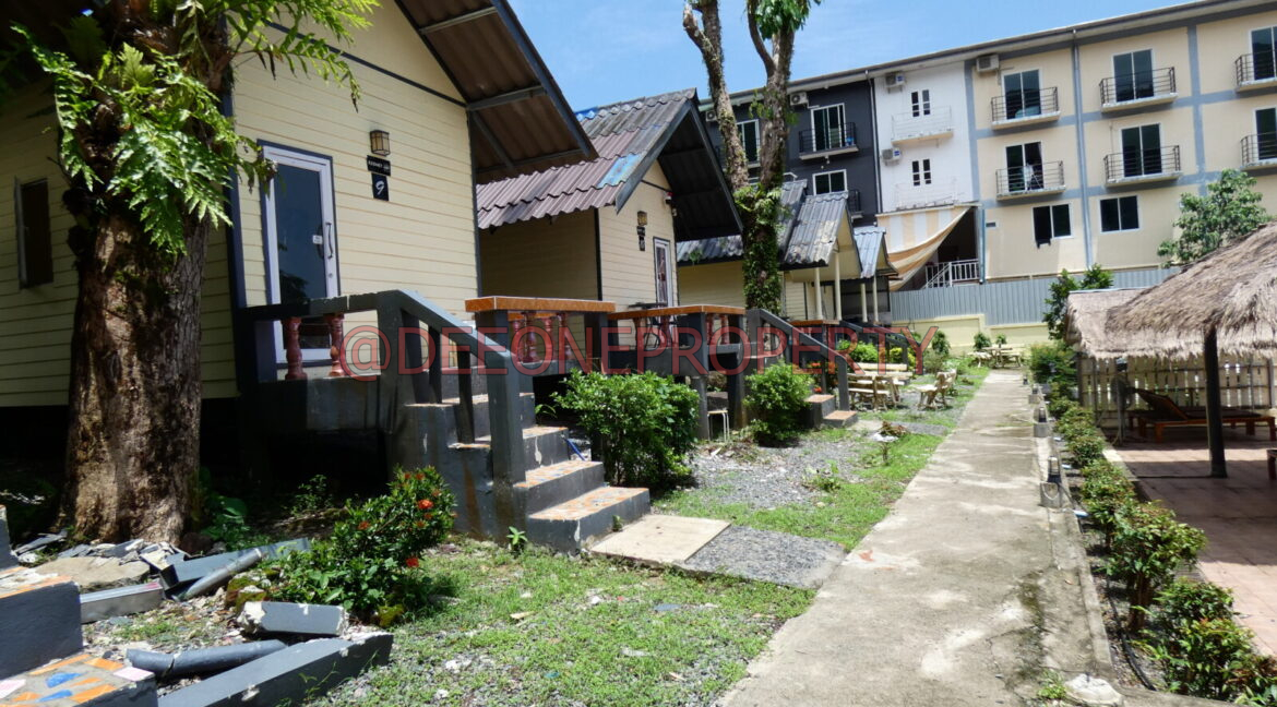 P1040138