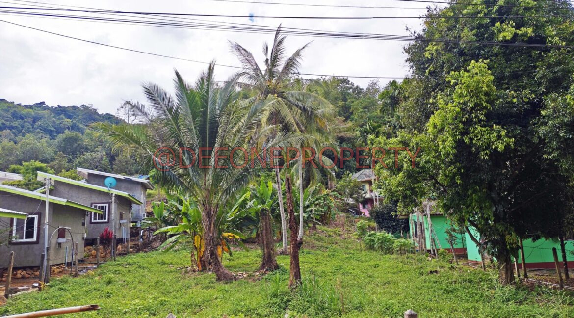 MVIMG_20251118_124211