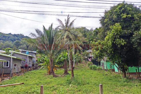 MVIMG_20251118_124211