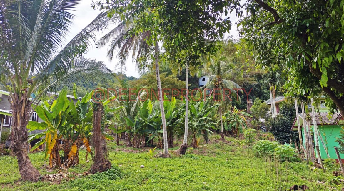 MVIMG_20251118_124248