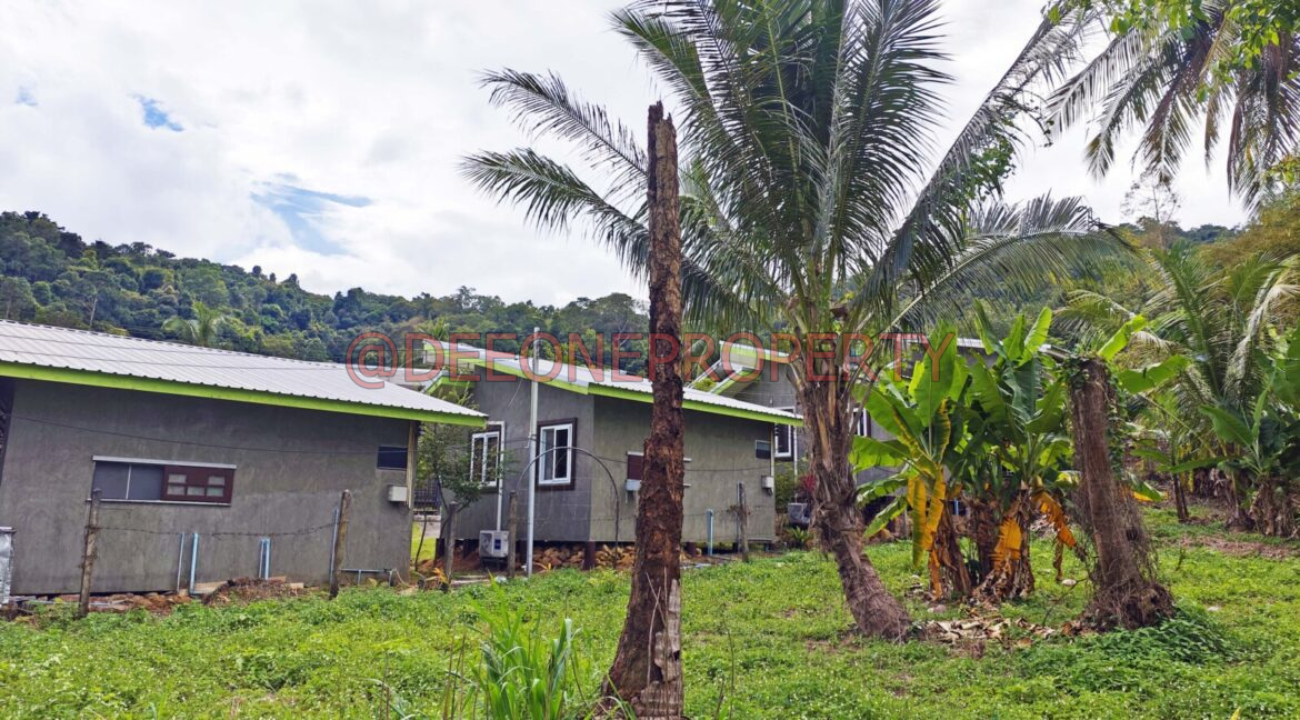 MVIMG_20251118_124256