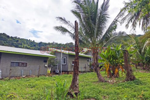 MVIMG_20251118_124256