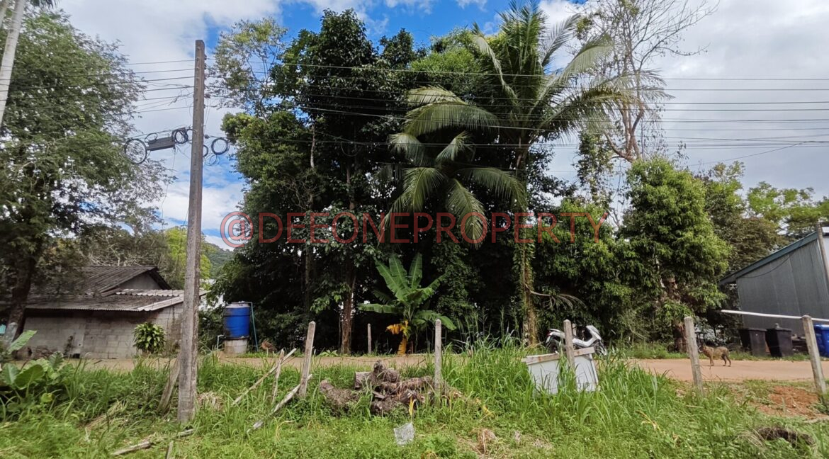 MVIMG_20251118_124311