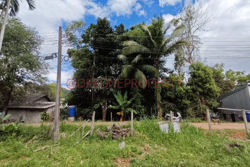 MVIMG_20251118_124311