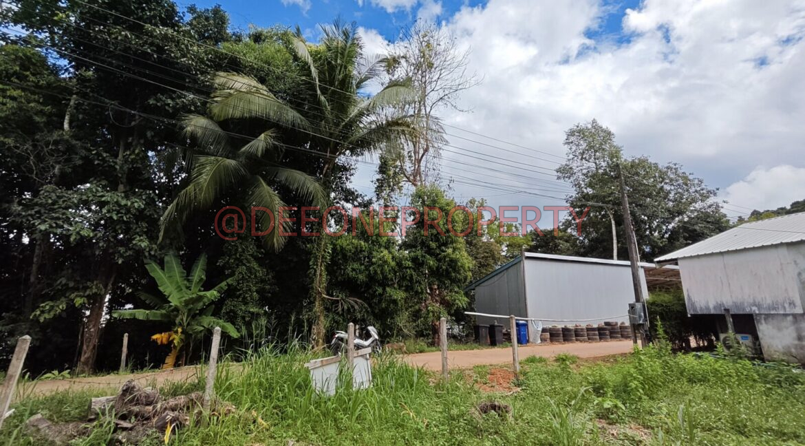 MVIMG_20251118_124315