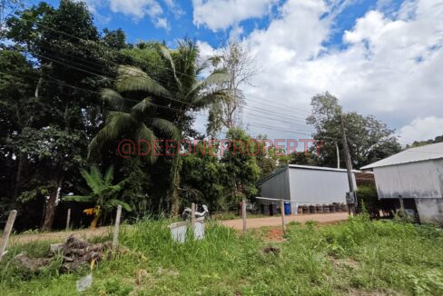 MVIMG_20251118_124315