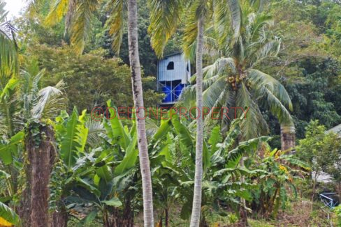 MVIMG_20251118_124337