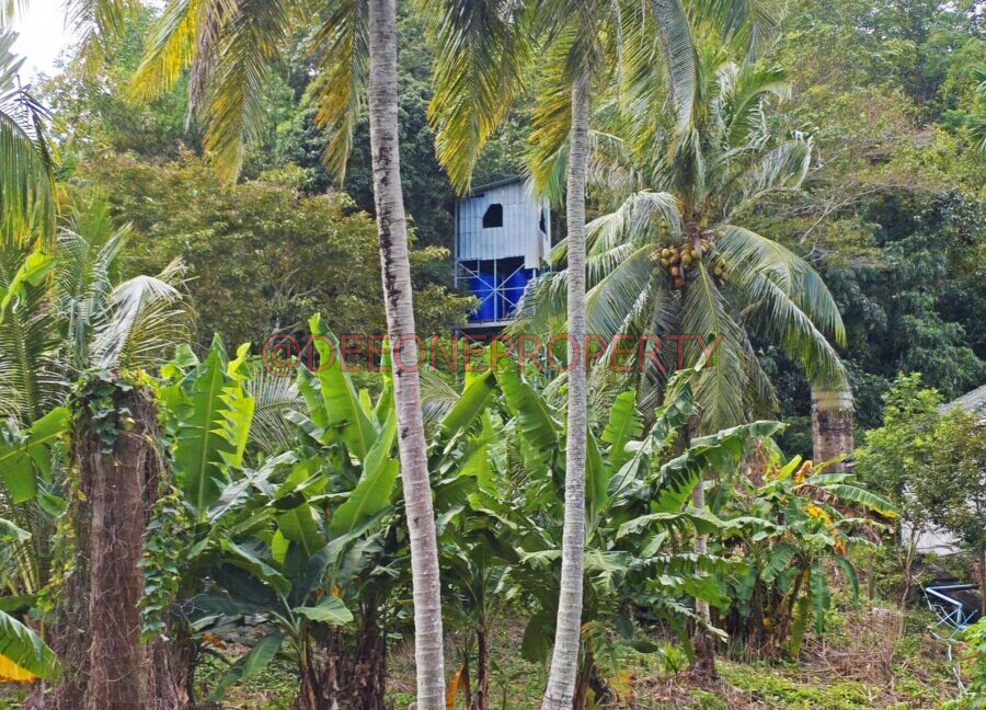 MVIMG_20251118_124337