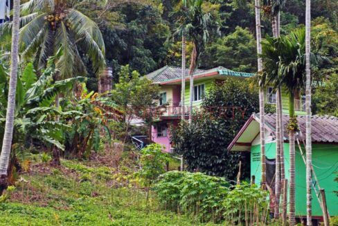 MVIMG_20251118_124342