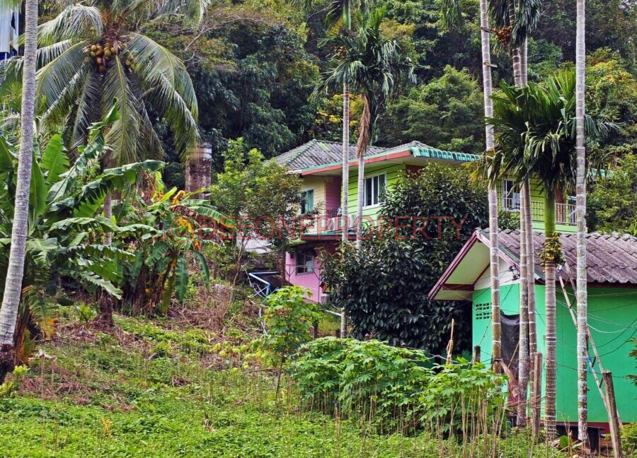 MVIMG_20251118_124342