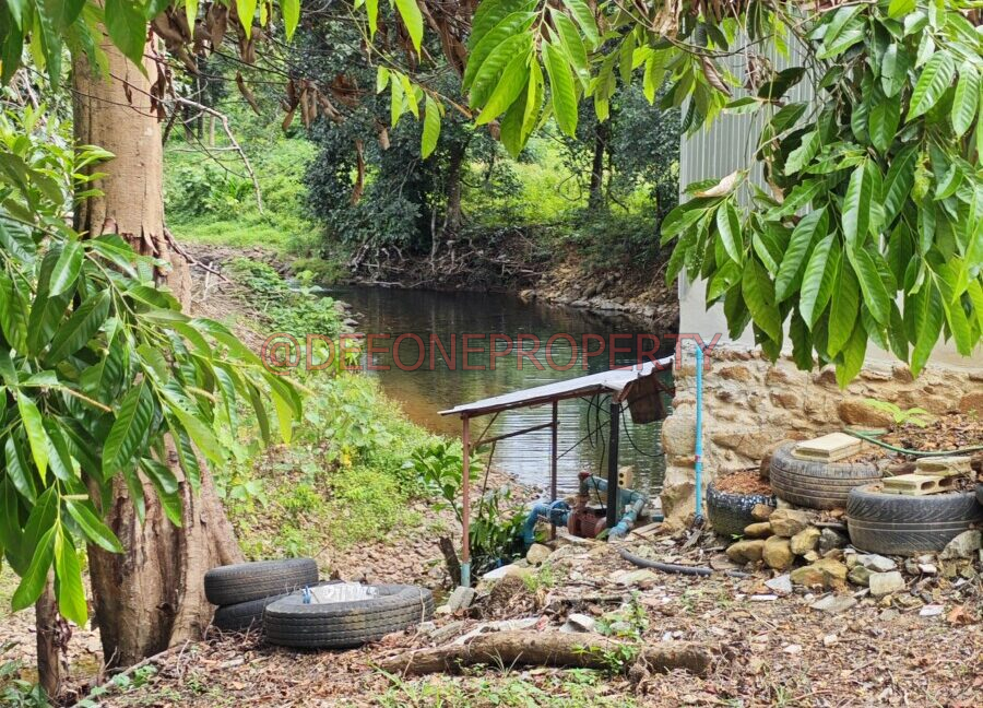 MVIMG_20251118_124503