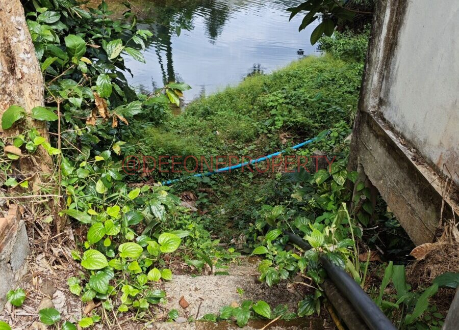 MVIMG_20251118_124558