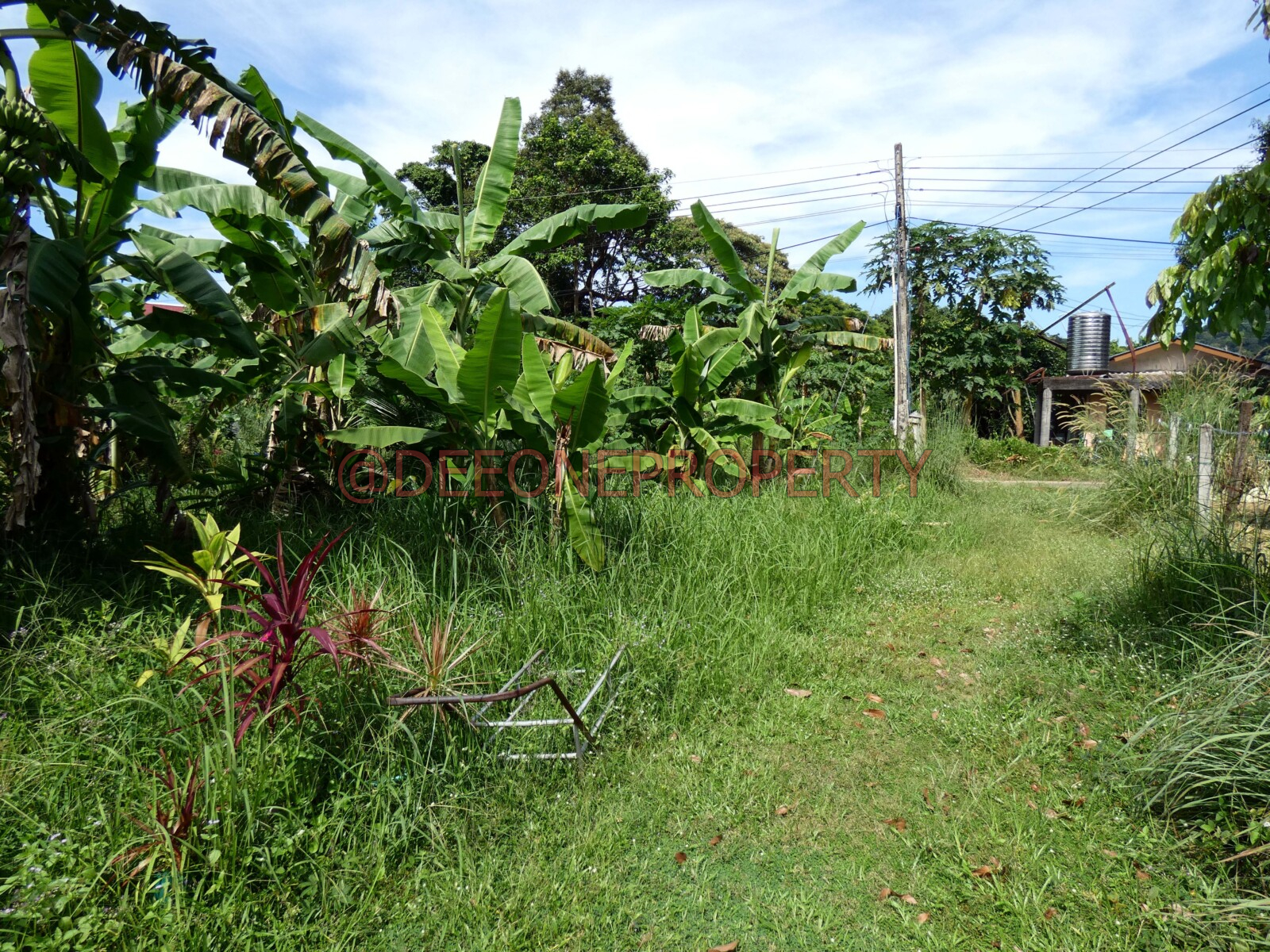 Affordable Land in Quiet Location for Sale – North East Coast, Koh Chang