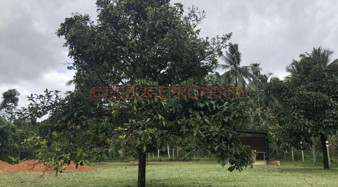 3BD8913F-2165-4187-9AA1-E233937B7AD0