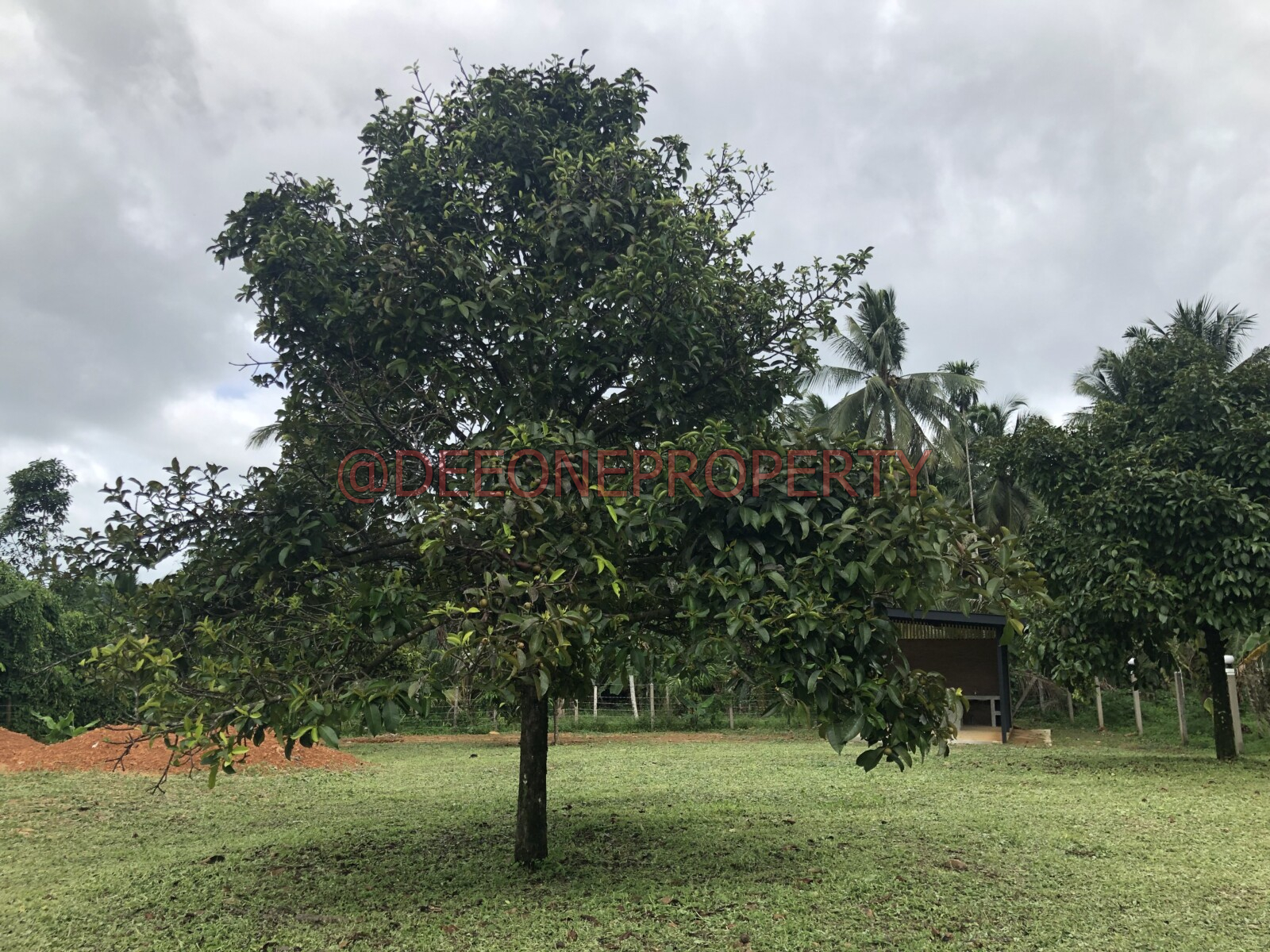 Garden Land in Quiet Area for Sale – South-East Coast, Koh Chang