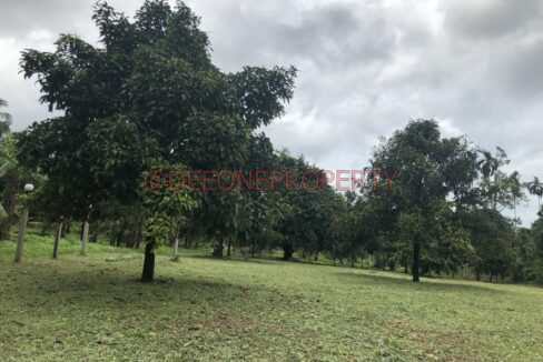 6517E1D7-E7D4-4521-B846-D0C9C32FFE41