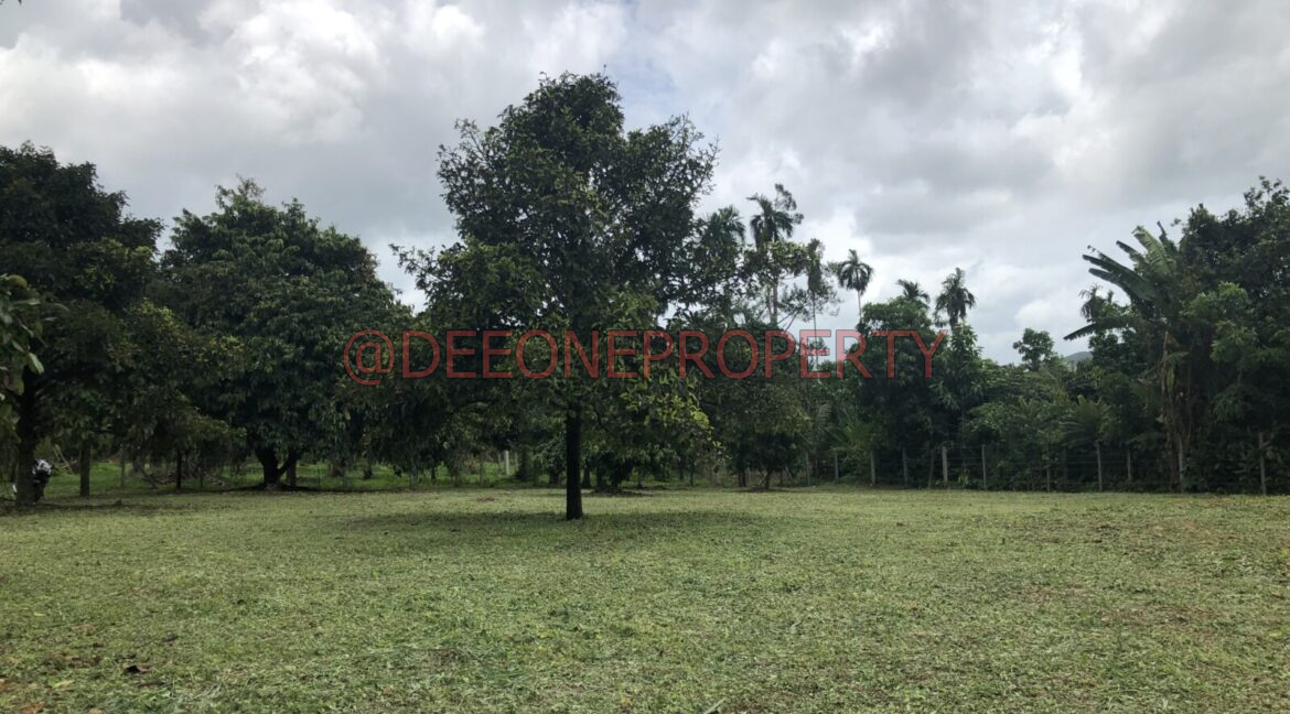 DF357000-6146-4716-9B21-76202817437B