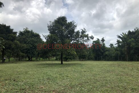 DF357000-6146-4716-9B21-76202817437B