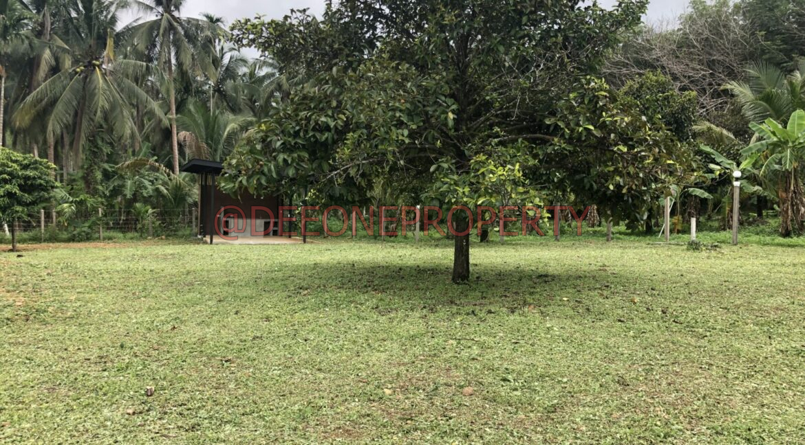 E6D25396-EF51-4CB0-94DC-72D711E6541E