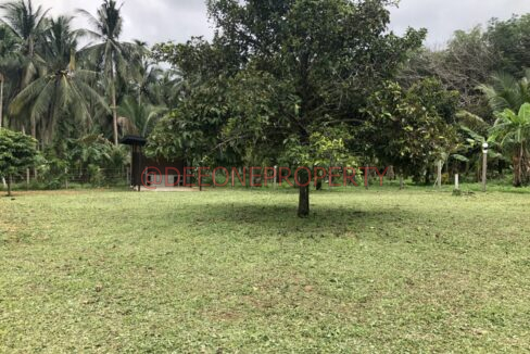 E6D25396-EF51-4CB0-94DC-72D711E6541E