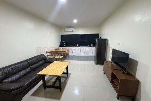 Living room and kitchen area of the apartment